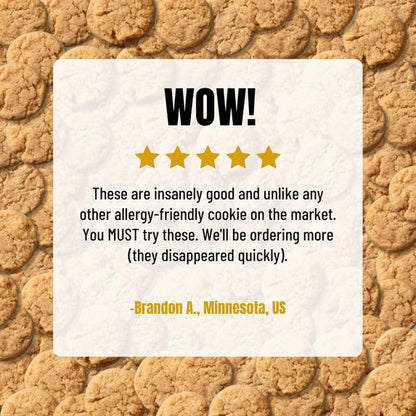 Every Body Eat Ginger Cinnamon Crunchy Cookie Bites - Gluten Free, Dairy Free, Vegan, Seed Oil Free, Allergy Friendly (5oz Pack of 3)