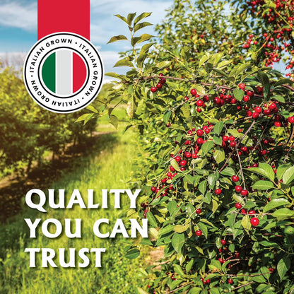Gourmanity Cocktail Maraschino Cherries, Made from Italian Grown Marasca Cherries. Use in Manhattan, Old Fashioned, and Desserts (14.1oz Jar)