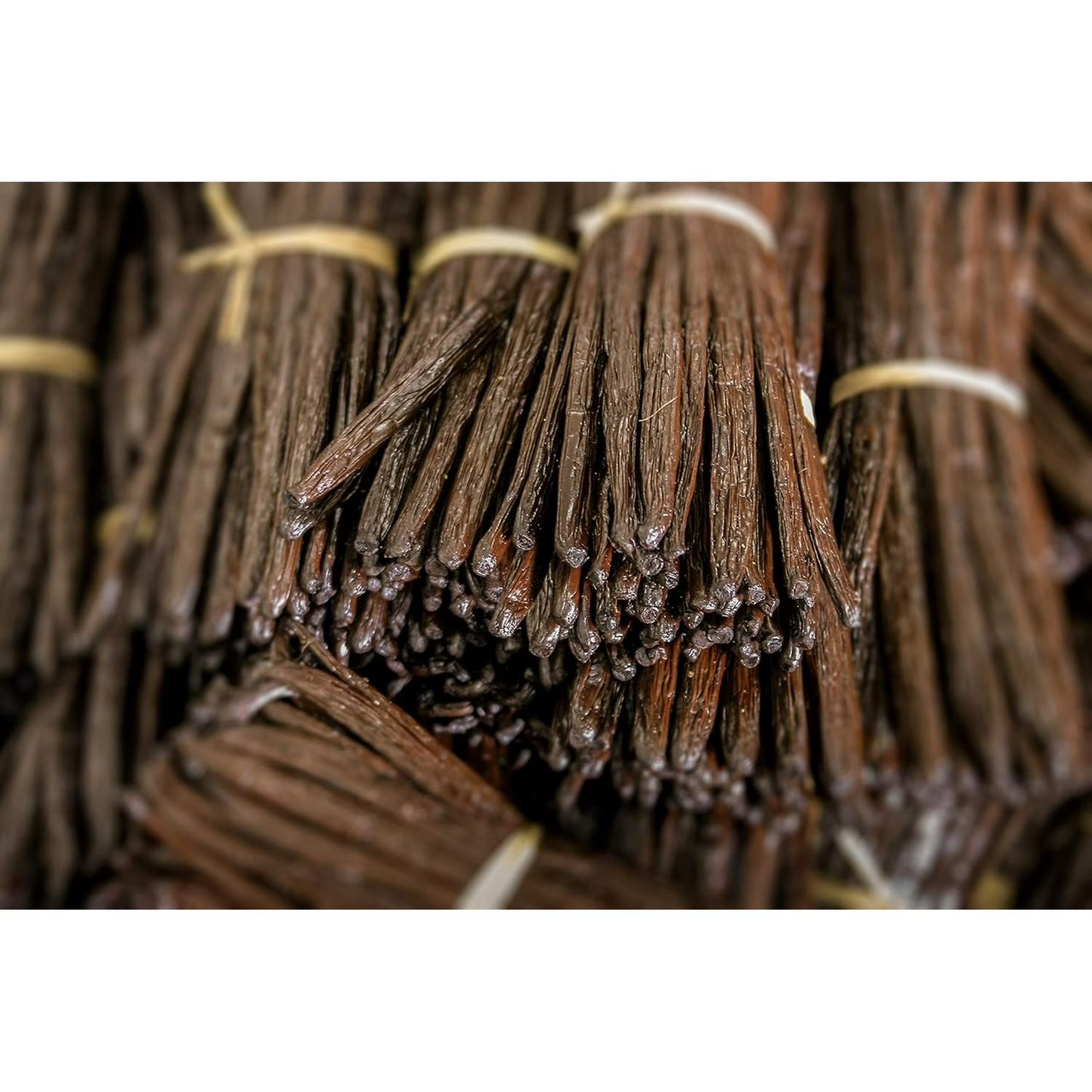 Organic Vanilla Extract - Made with Madagascar Vanilla Beans – For Baking, Desserts, Home Cooking and Chefs - 5 GALLONS