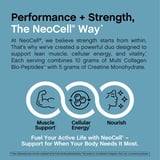 NeoCell Creatine + Multi Collagen Bio-Peptides Protein Unflavored Powder, 19 oz (540 g)