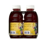 WELCH'S 10 FL OZ JUICE DRINK - GRAPE LEMONADE (6 PK)