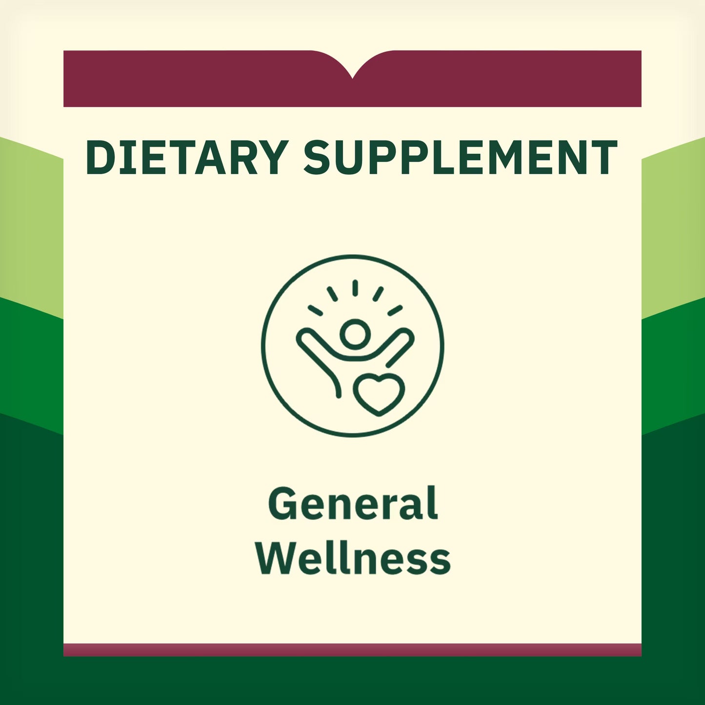 Spring Valley Ginkgo Biloba Extract Dietary Supplement Vegetarian Capsules for Memory Support, 120 mg, 90 Count