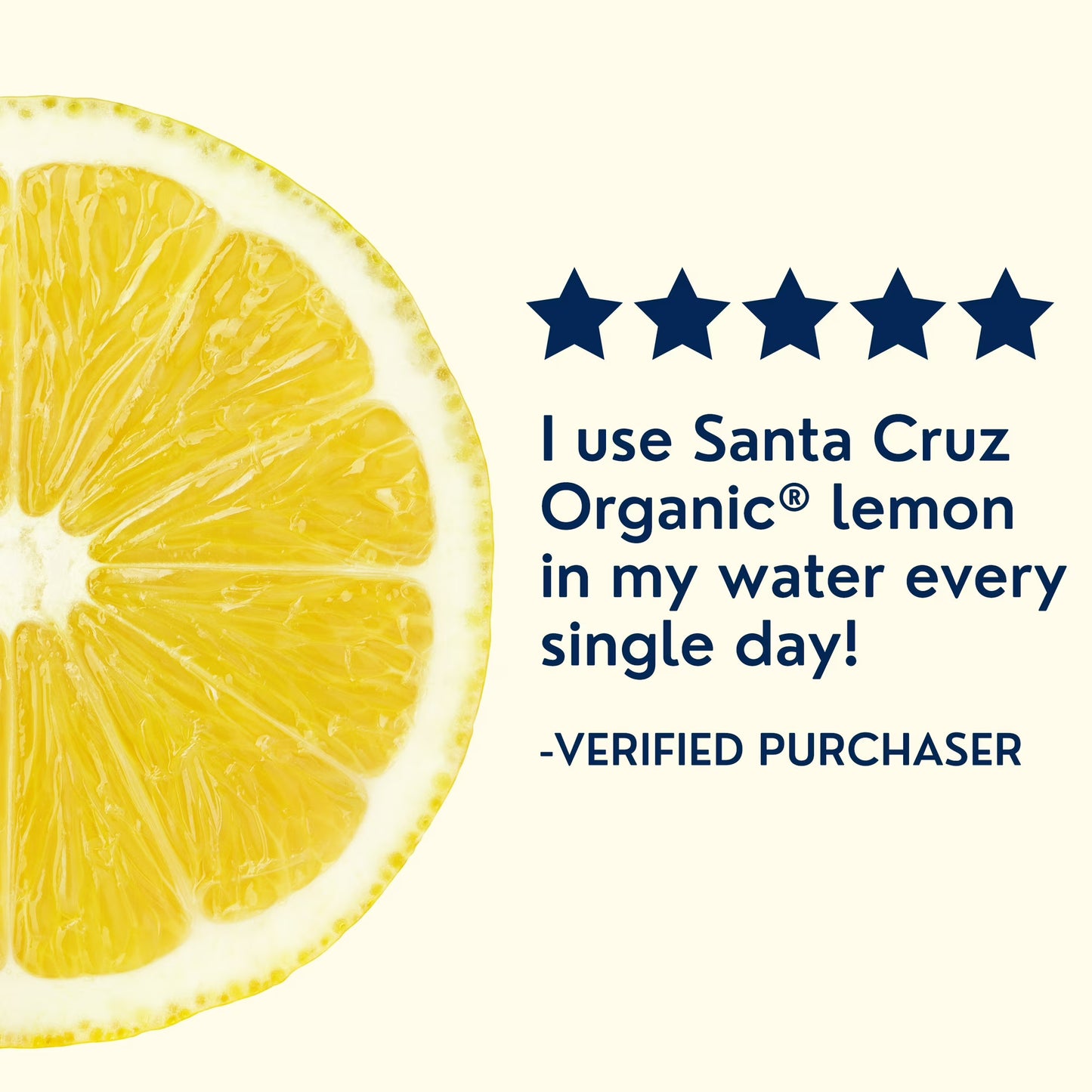 (2 pack) Santa Cruz Organic 100% Pure Lemon Juice, 16 Fluid Ounces