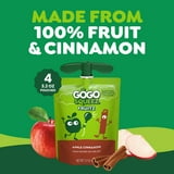 (2 pack) GoGo squeeZ No Sugar Added Apple Cinnamon Applesauce Pouches, 3.2 oz (4 Pack)
