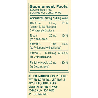 Spring Valley Vitamin B Complex Dietary Supplement with B12, Berry Flavor, 2 fl oz
