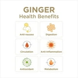 The Ginger People GIN GINS Double Strength Hard Ginger Candy - 1lb - Pack of 1