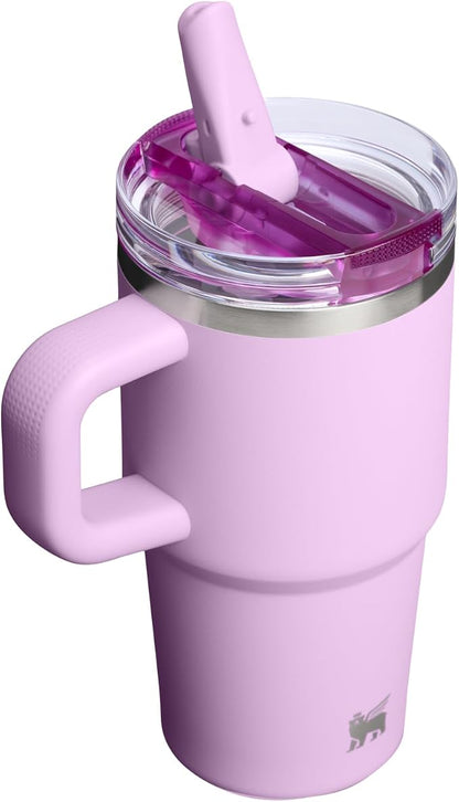 STANLEY Quencher ProTour Flipstraw Tumbler, 20 oz, Soft Orchid