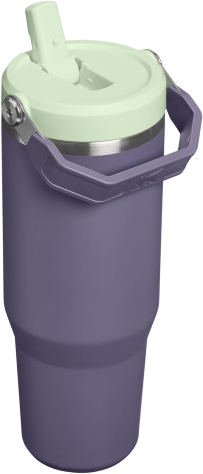 STANLEY IceFlow 2.0 Flip Straw Tumbler, 30 oz, Purple Umbra