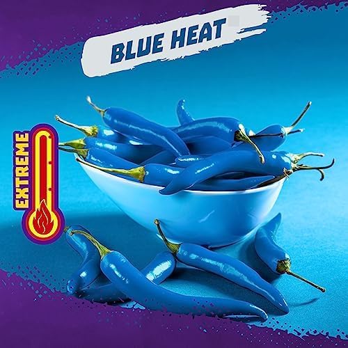 Takis Blue Heat Crisps - Hot Chili Pepper Flavored Extreme Spicy Potato Crisps Sharing Size Can (Pack of 3)