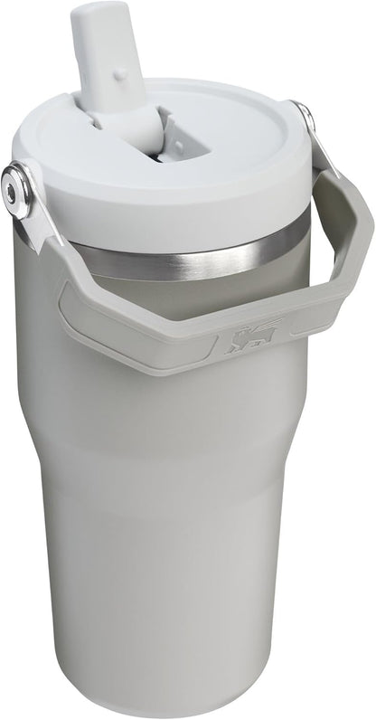 STANLEY IceFlow 2.0 Flip Straw Tumbler, 20 oz, Ash