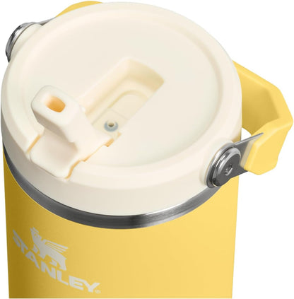 STANLEY IceFlow 2.0 Flip Straw Tumbler, 30 oz, Daffodil