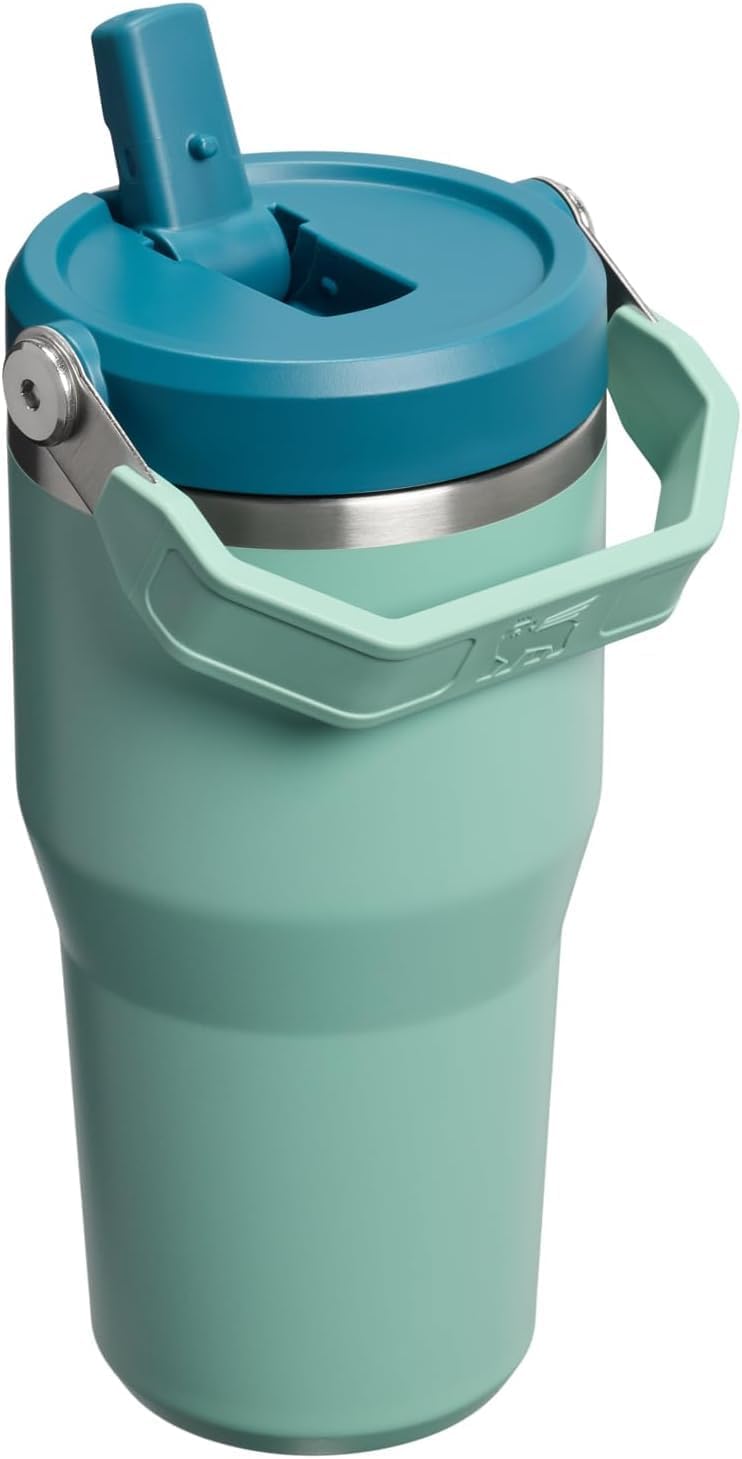 STANLEY IceFlow 2.0 Flip Straw Tumbler, 20 oz, Spring Green