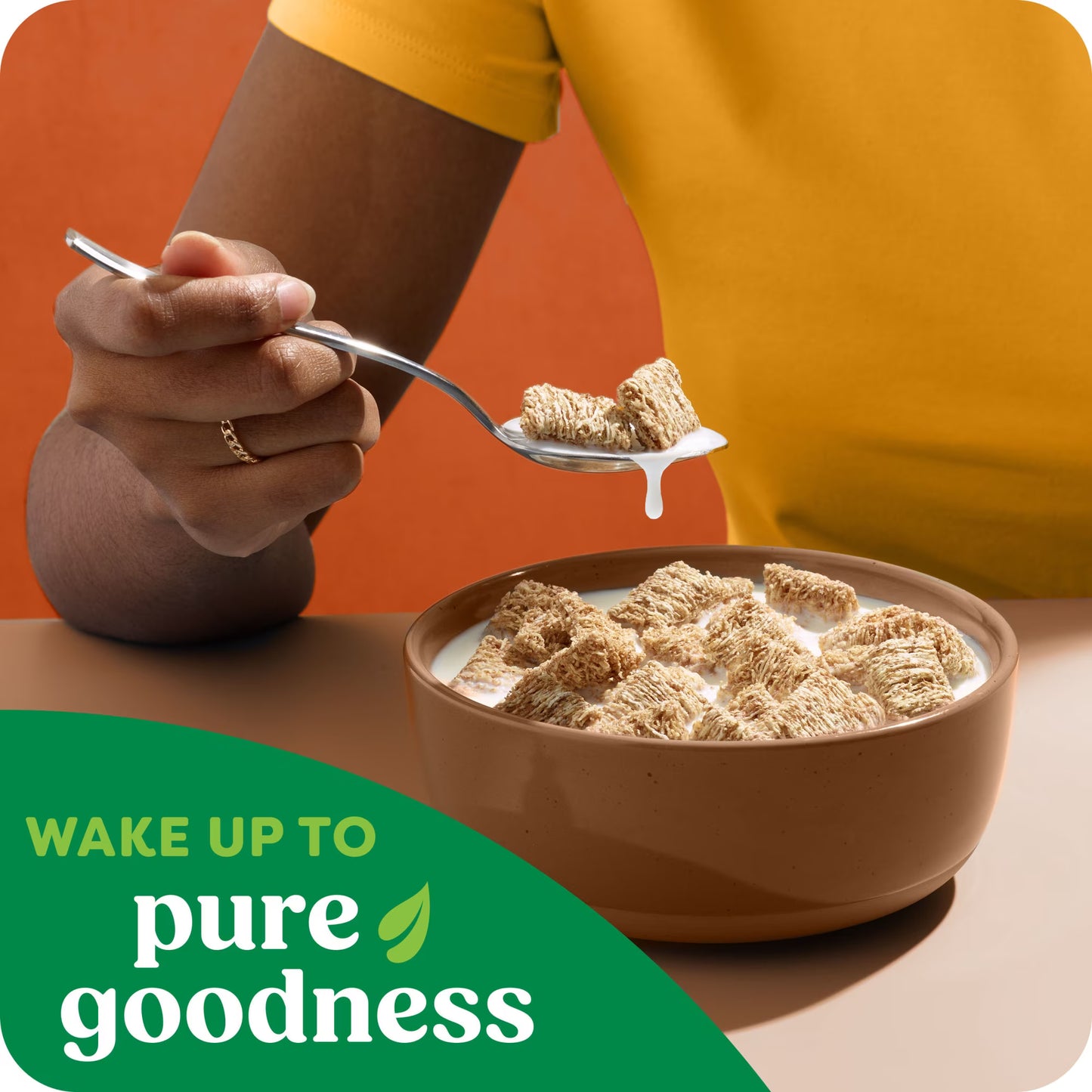 Kashi Cinnamon Harvest Breakfast Cereal Box, 18 oz