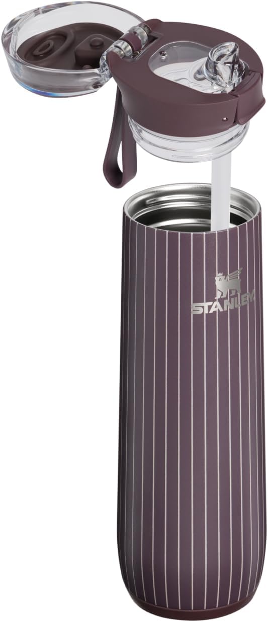 STANLEY Flowstate Spring Bottle, 20 oz, Fig Pinstripe
