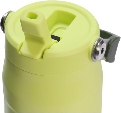 STANLEY IceFlow Flip Straw 2.0 Bottle, 24 oz, Prickly Pear