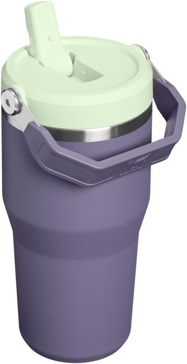STANLEY IceFlow 2.0 Flip Straw Tumbler, 20 oz, Purple Umbra