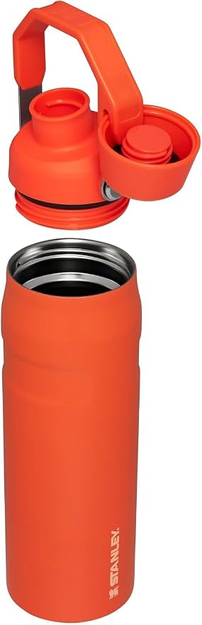 STANLEY IceFlow Fast Flow Bottle, 24 oz, Tigerlily