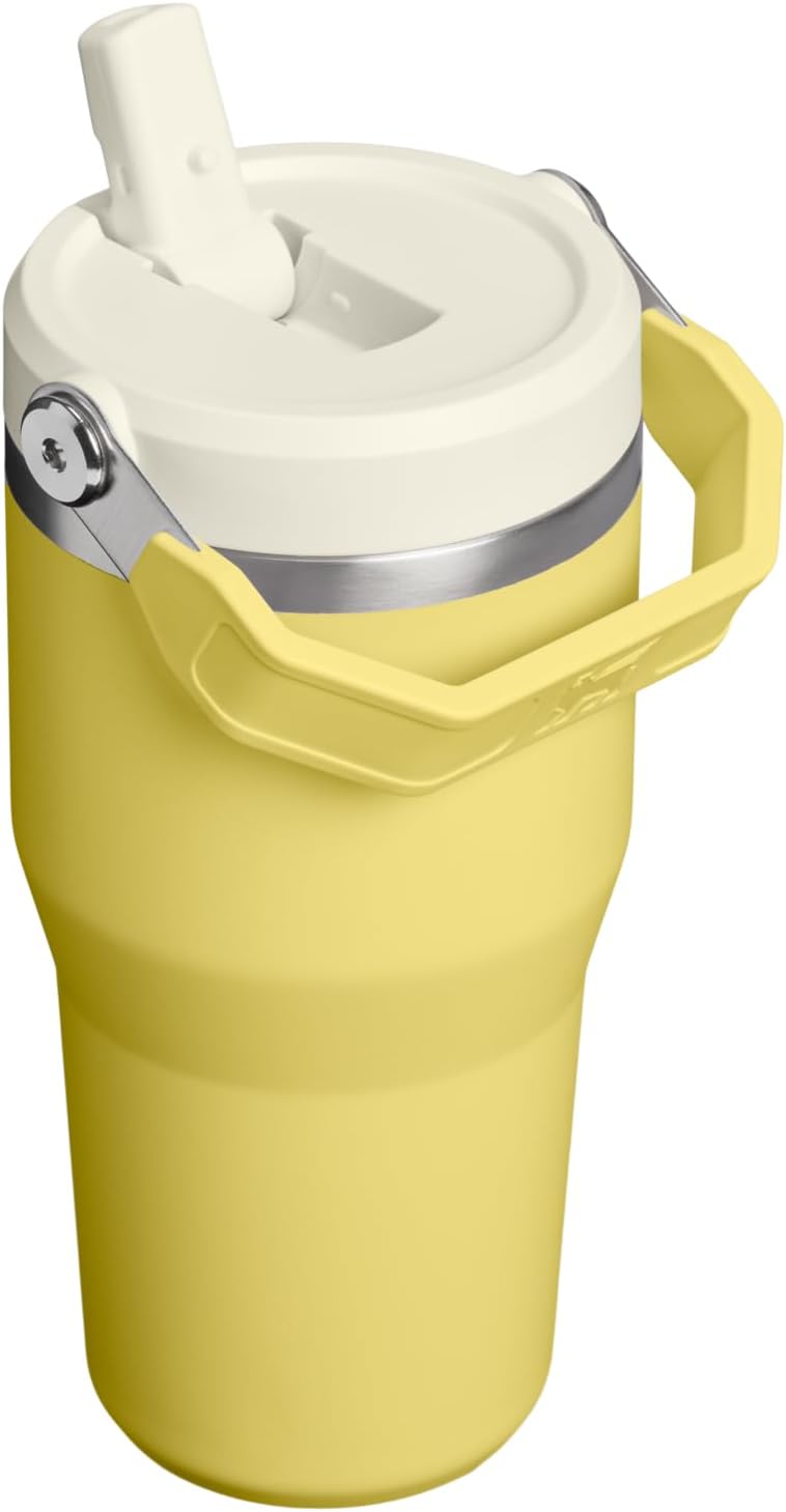 STANLEY IceFlow 2.0 Flip Straw Tumbler, 20 oz, Daffodil
