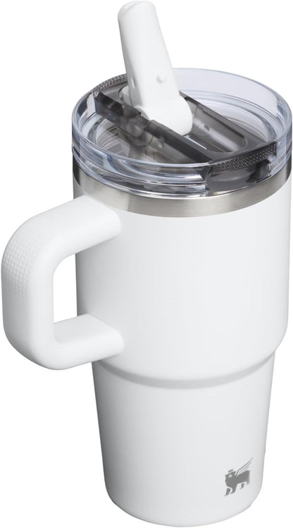 STANLEY Quencher ProTour Flipstraw Tumbler, 20 oz, Frost