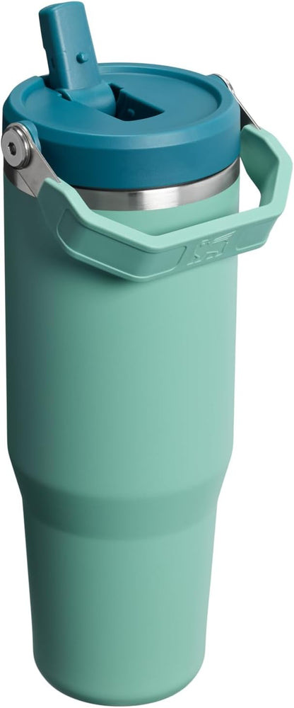 STANLEY IceFlow 2.0 Flip Straw Tumbler, 30 oz, Spring Green