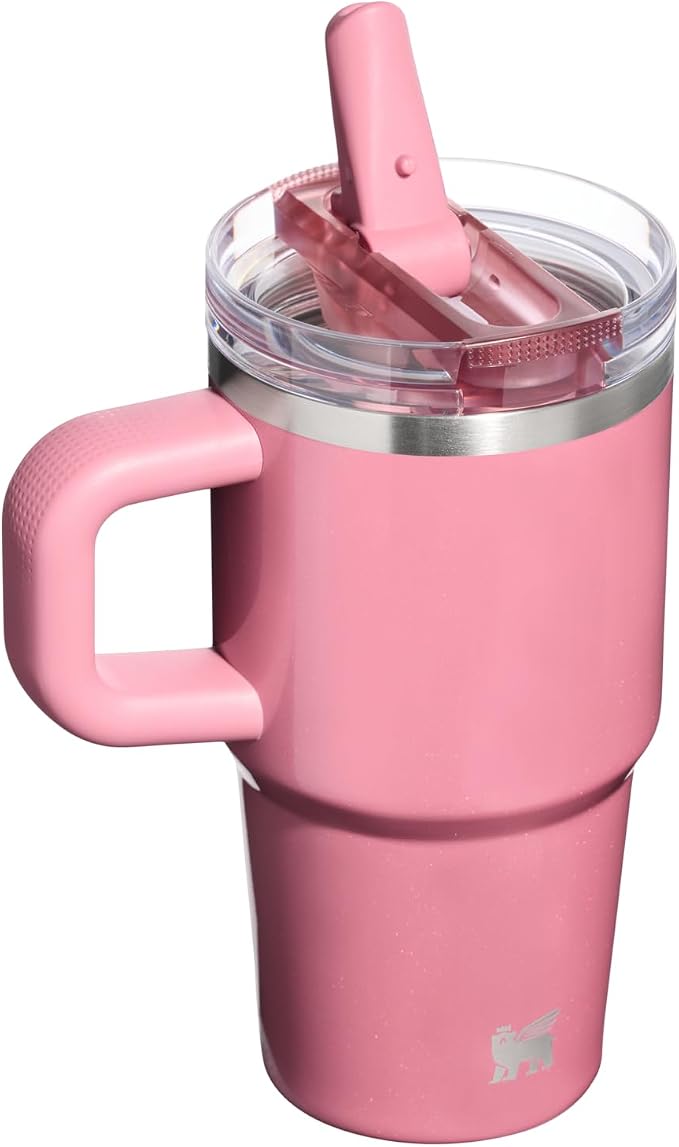 STANLEY Quencher ProTour Flipstraw Tumbler, 20 oz, Port Shimmer