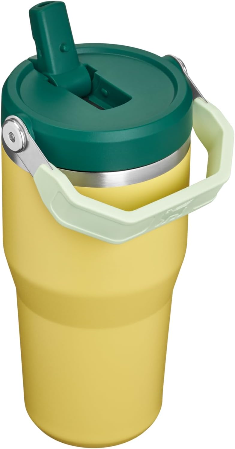 STANLEY IceFlow 2.0 Flip Straw Tumbler, 20 oz, Daffodil Emerald