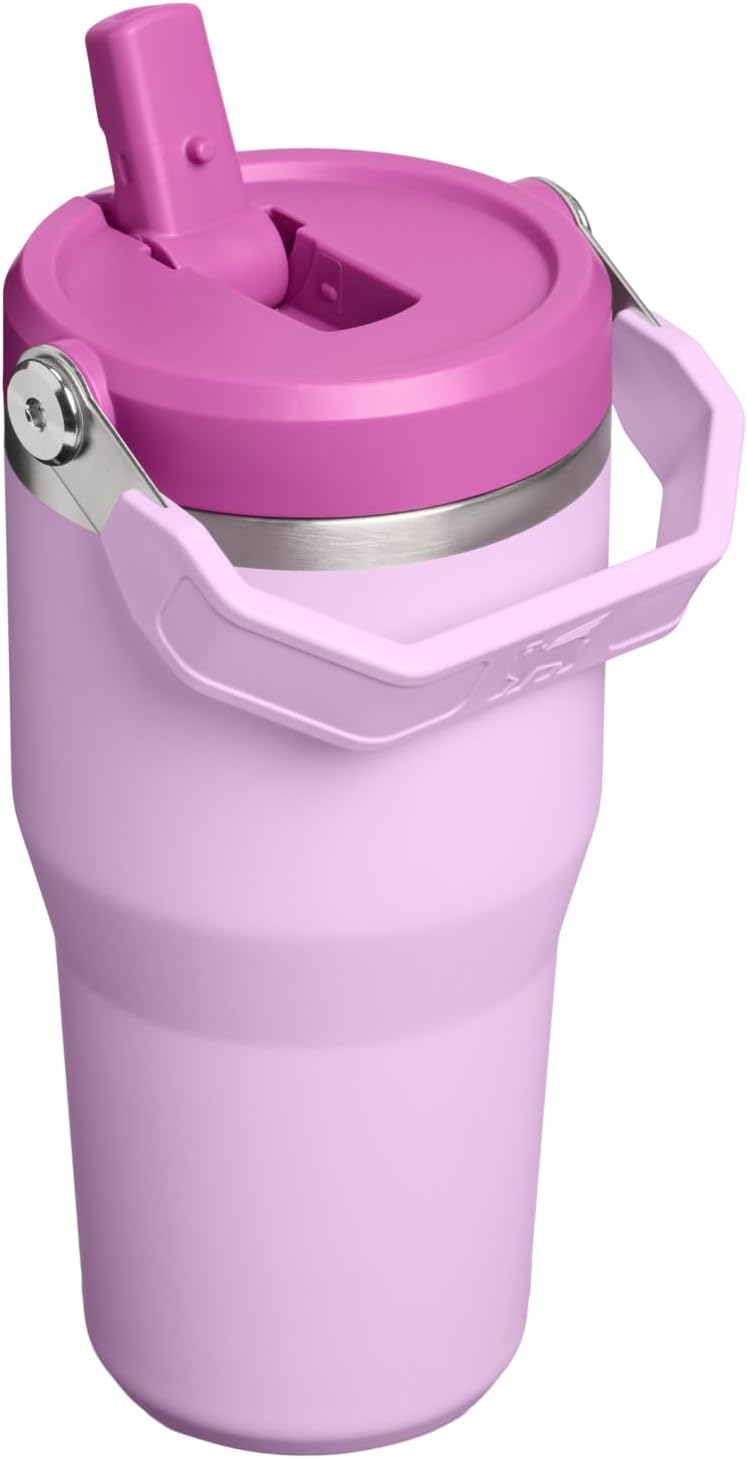 STANLEY IceFlow 2.0 Flip Straw Tumbler, 20 oz, Soft Orchid