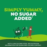 GoGo squeeZ No Sugar Added Apple Cinnamon Apple Applesauce Variety Pouches, 3.2 oz (24 Pack)