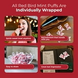 Red Bird Cinnamon Mints Individually Wrapped Candy, Allergen-Free, 52 oz Tub