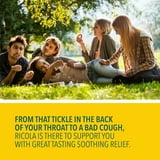Ricola Original Herb Menthol Cough Drops, 210 ct.