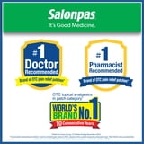 Salonpas Pain Relief Patch, 20 Count (Pack of 1)