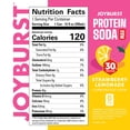 Joyburst 30g Protein Soda Max Variety Pack, 12 fl. oz., 12 pk.