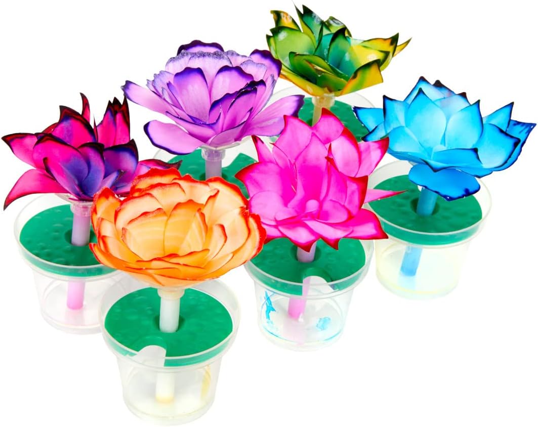 Crayola Paper Flower Science Kit, Color Changing Flowers, Gift for Kids Ages 7, 8, 9, 10 (Pack of 2)
