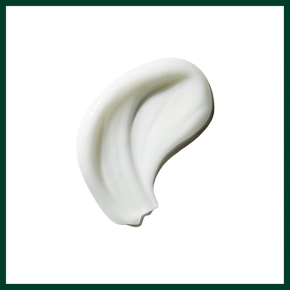 Aveda Be Curly Advanced Curl Enhancer Hair Styling Cream | Defines Curly and Wavy Hair | Hydrates, Reduces Frizz, Adds Shine | Air Dry or Blow Dry | Silicone Free | 98% Naturally Derived*