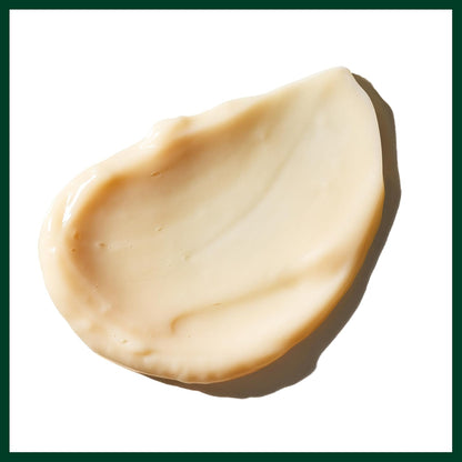 AVEDA Sap Moss Weightless Hydration Conditioner | Hydrates, Detangles, Fights Frizz | Silicone Free | Conditioner for Normal to Dry Hair | 98% Naturally Derived*, 6.7 Fl Oz