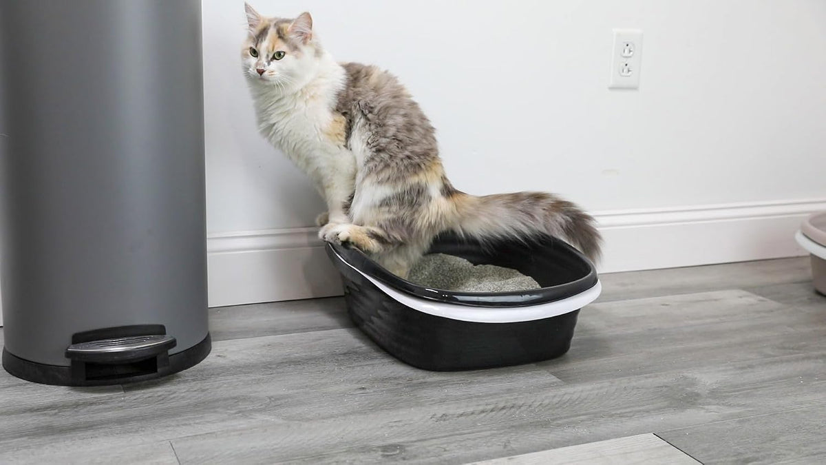 Arm & Hammer Large Sifting Litter Box Scoop Free Cat Litter Tray with Microban