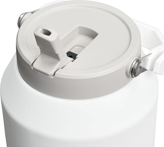 STANLEY IceFlow Flip Straw 2.0 Jug, 96 oz, Frost
