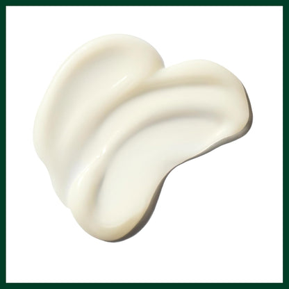 AVEDA Be Curly Advanced Co-Wash | Removes Buildup Without Stripping | Hydrates Curly & Coily Hair | Fights Frizz | Sulfate Free | Silicone Free | 98% Naturally Derived*, 11.8 Fl Oz