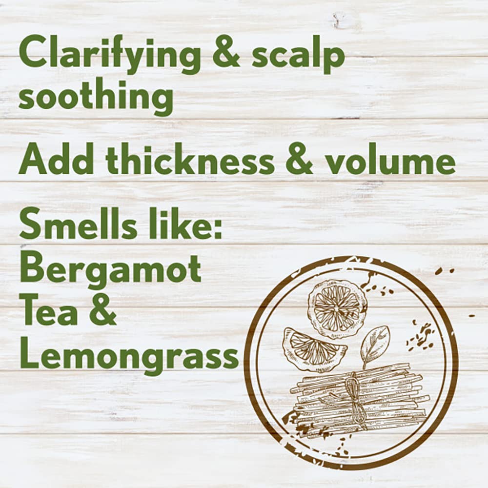 Aveeno Fresh Greens Shampoo and Conditioner Set,Sulfate Free,Clarifying & Volumizing for Thin or Fine Hair,Rosemary Peppermint Cucumber Nourish & Thicken,Color Safe Paraben Free,12 Fl Oz,(Pack of 4)