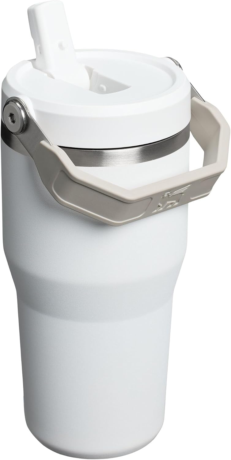 STANLEY IceFlow 2.0 Flip Straw Tumbler, 20 oz, Frost