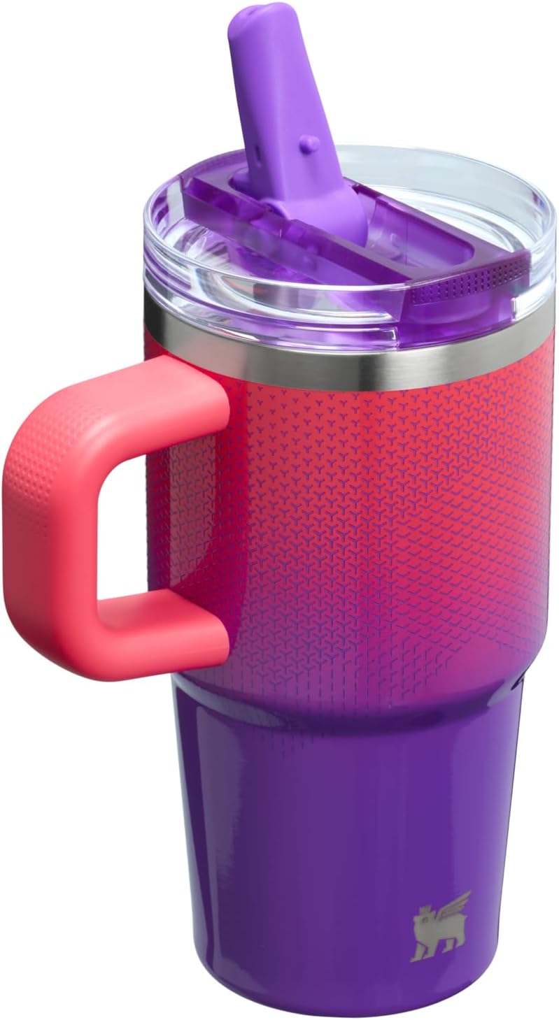 STANLEY Quencher ProTour Flipstraw Tumbler, 20 oz, Vermilion Hypergrip