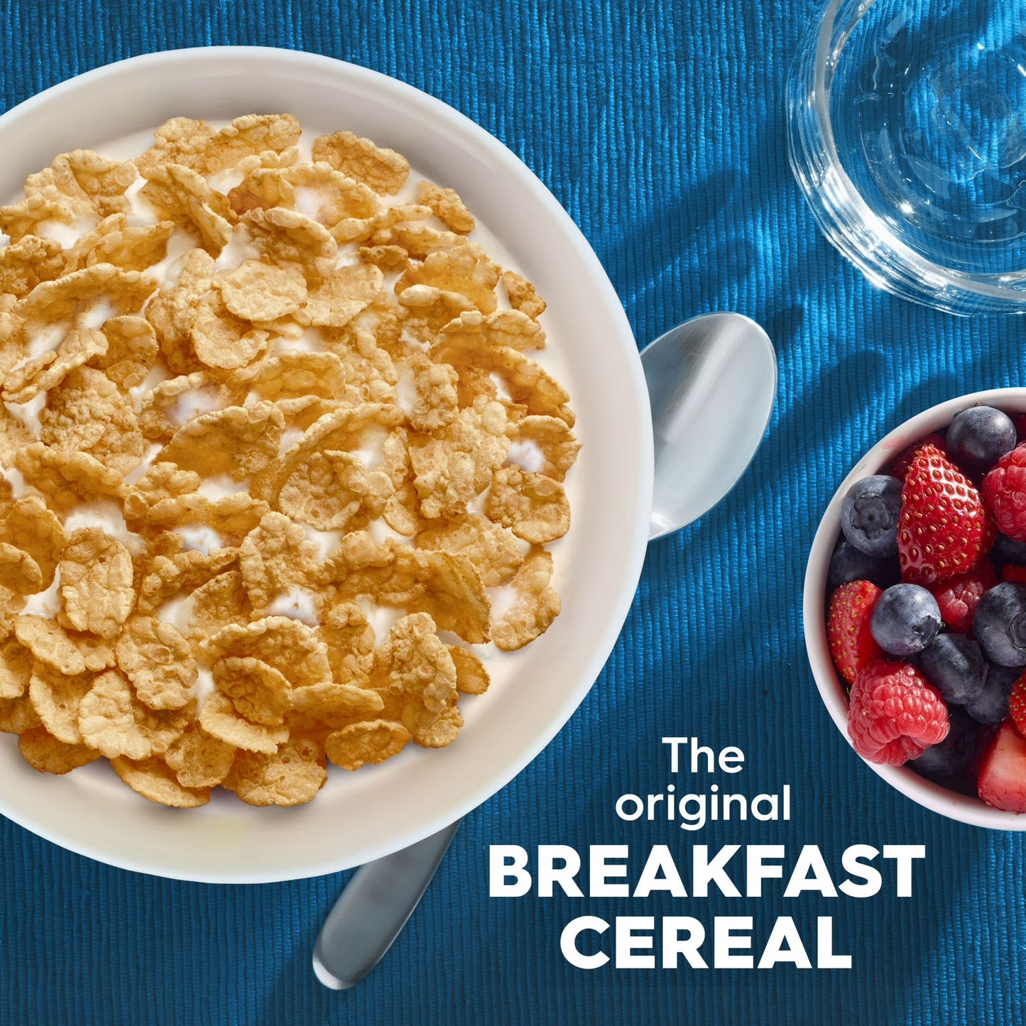 Kellogg's Special K Original Breakfast Cereal Family Size Box, 18 oz