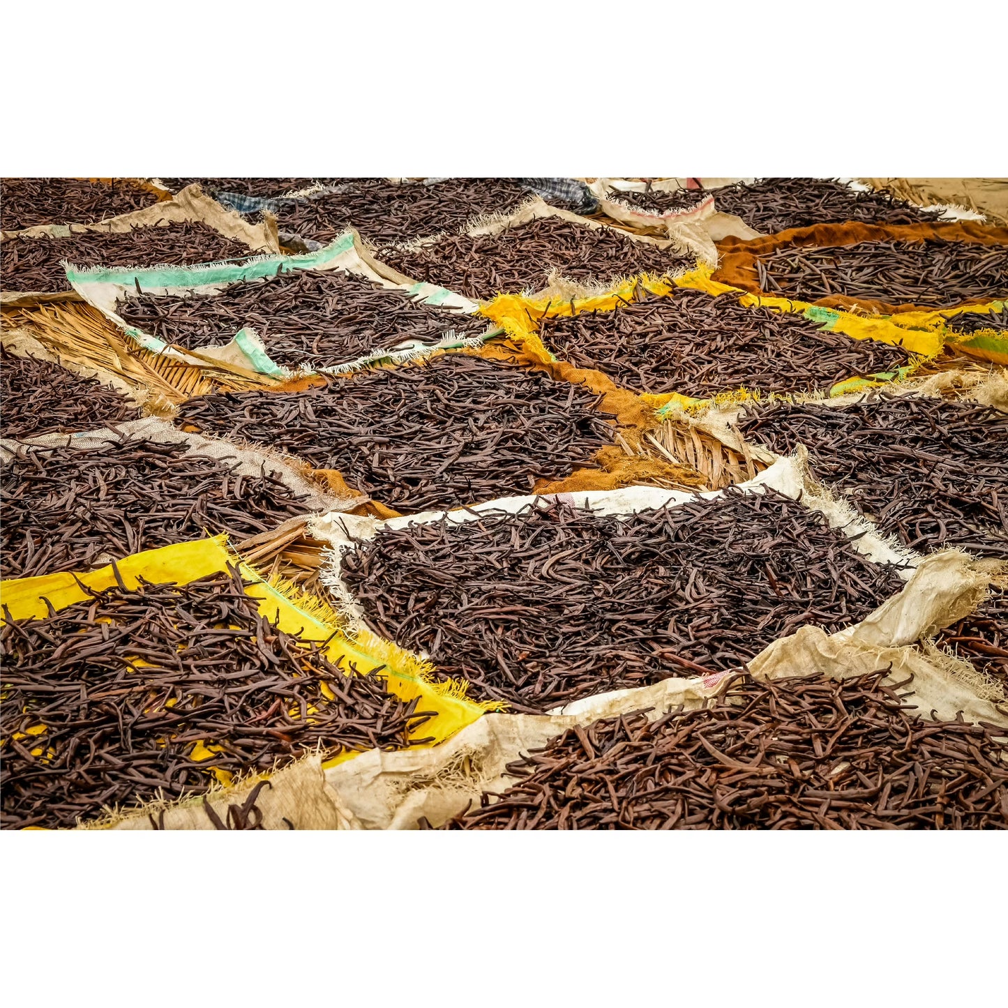 1/2 LB Organic Madagascar Vanilla Beans. Whole Grade A Vanilla Pods for Vanilla Extract and Baking - 8 Ounces