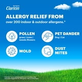 Claritin 24 Hour Non-Drowsy Allergy Medicine Tablets 115 ct.