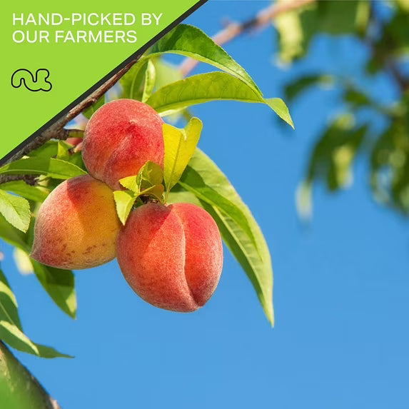 Nut Cravings Sun Dried California Peaches, No Sugar Added (16oz - 1 lbs)