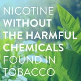 Member's Mark Nicotine Coated Gum, Choose your flavor, 300 ct.