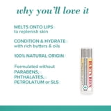 (2 pack) Burt's Bees Ultra Conditioning Moisturizing Lip Balm with Shea and Cocoa Butter, 0.15 oz.