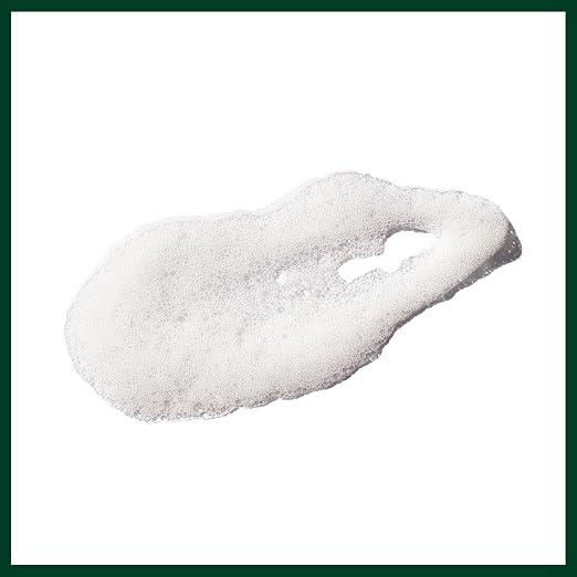 AVEDA Outer Peace Foaming Cleanser | Daily Face Cleanser for Acne-Prone Skin | with Powerful Plant Extracts, 4.2 Fl Oz