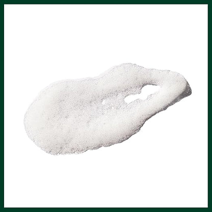 AVEDA Outer Peace Foaming Cleanser | Daily Face Cleanser for Acne-Prone Skin | with Powerful Plant Extracts, 4.2 Fl Oz