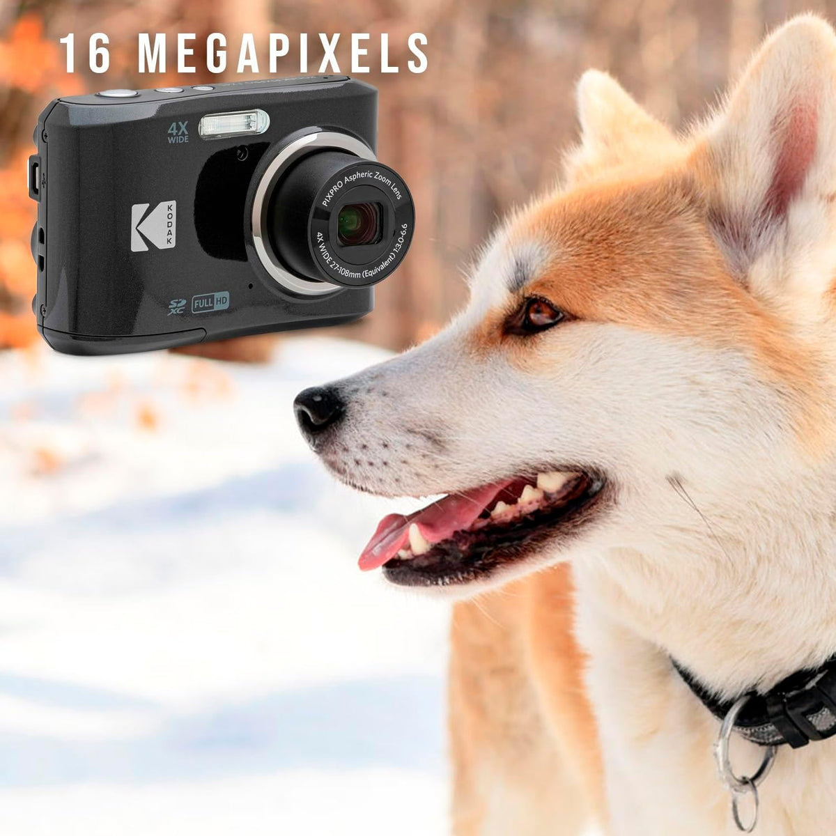 Kodak PIXPRO FZ45 Digital Camera (Black) Bundle